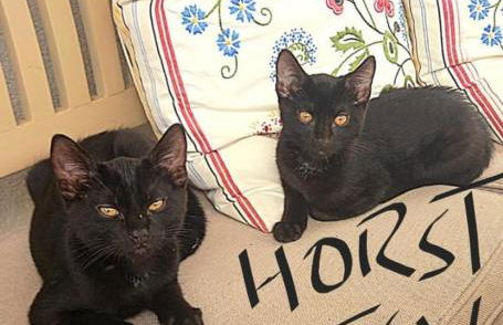 Schröderhof in Eußenheim - Foto 21