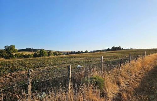 Le Saint-Jean - Foto 30