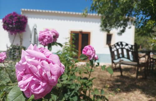 Can Pep Pardal - Foto 6