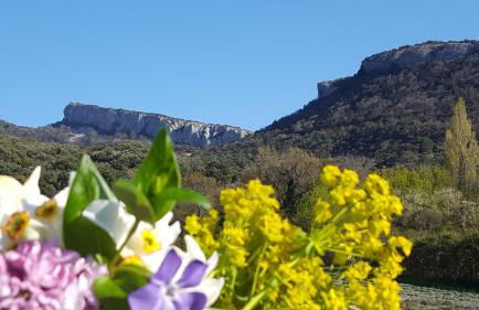 Gîtes du Château d'Alençon - Photo 67