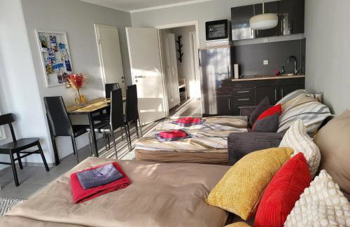 Bergzauber Bayerwald - voll ausgestattetes Familienapartment mit Pool - Foto 47
