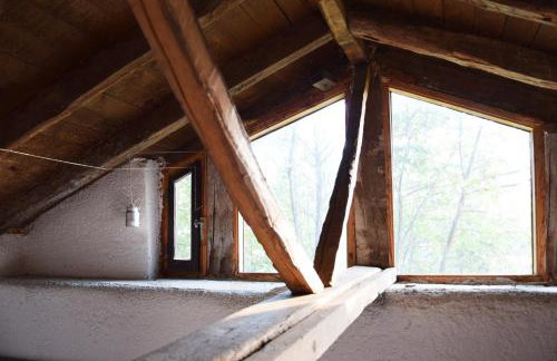 Dendrocopos Medius - Photo 3