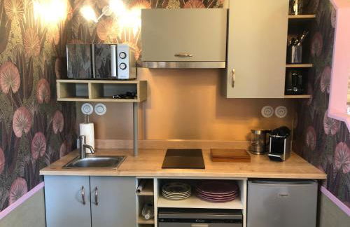 Les Fleurs De Lys, Suites'Appart , Entrée et Terrasse Privée Proche de la Mer - Foto 9