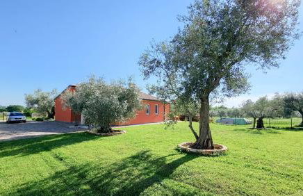 Casa Gojtan - Photo 49