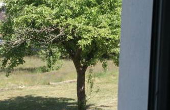 Ferienwohnung Ilse im Haus Namenlos - Foto 12