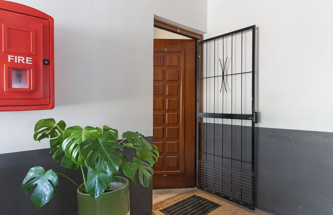 Tweede Boom - Photo 19