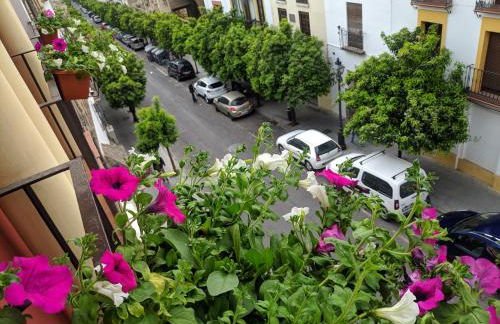 El Capricho de San Fernando, Consigna gratis y Parking a 200mts - Foto 17