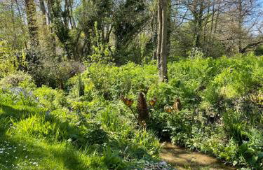 Beech Hut - a streamside family escape near Salcombe and Beaches - Foto 33