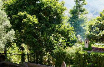 Mountain View Villa - Foto 35