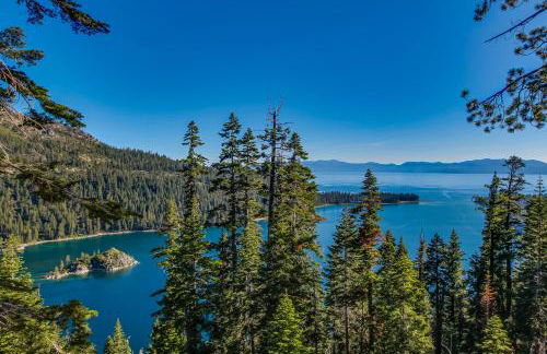 Sunlit Forest Haven - Foto 8