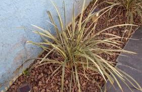 Casa paulo e nubia - Foto 26