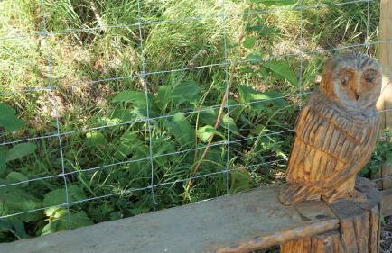 Shepherd's Watch Cottage - 5* Cyfie Farm with private hot tub - Foto 10