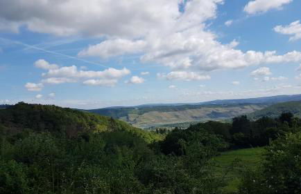 White House (1f) Boppard City - Foto 26