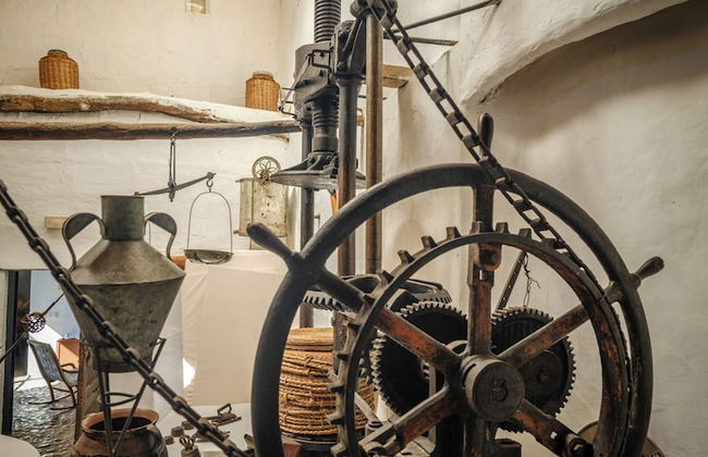 Muleta de Ca S'Hereu Agroturismo - Photo 51