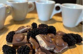 Charme e conforto na Montanha - Condomínio no Morro do Elefante, próximo ao centro - Foto 40