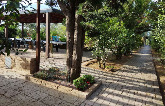 Azienda Agrituristica Le Betulle - Foto 57