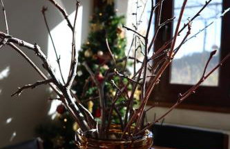 Herme's Hut - Foto 52