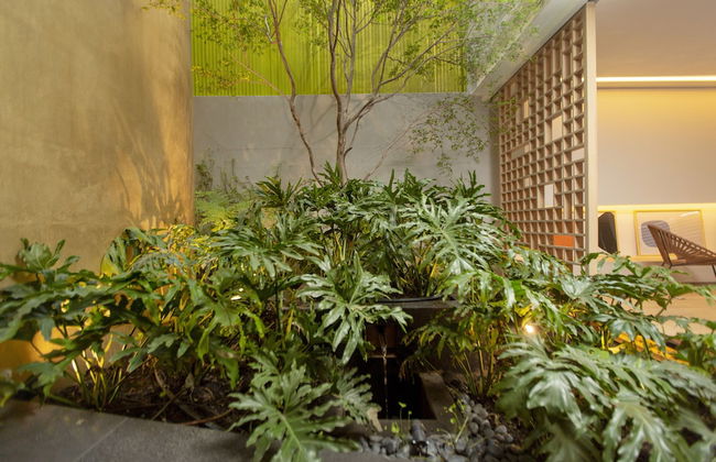 V65 Mexico - Foto 70