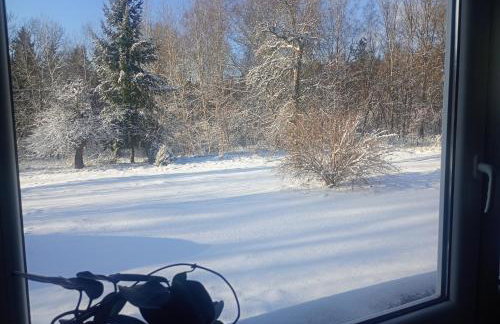 Leśniczówka Lawenda - Foto 32