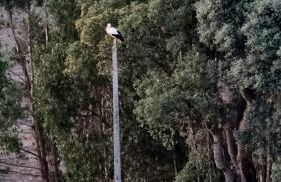 Herdade Monte Novo Do Pocinho - Foto 78