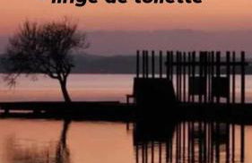 VILLA ALAÏA neuve avec piscine, pétanque proche plage et golf - Foto 44