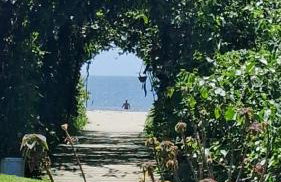 Casa da A'LICE - Photo 13