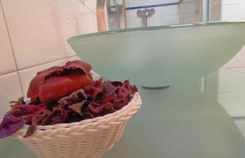 Apartamentos MinusKa con jardin y a tan solo 10 min andando a Llanes - Foto 15