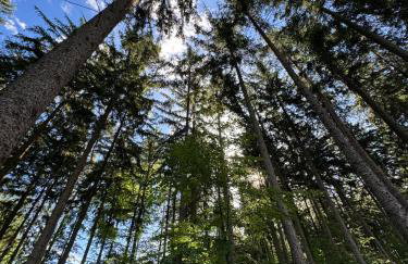 Czerwony Dworek 8 - Agroturystyka Karkonosze - Foto 36