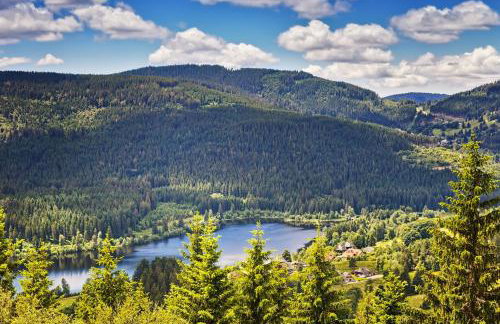 Ferienwohnung Waldglück - Foto 35