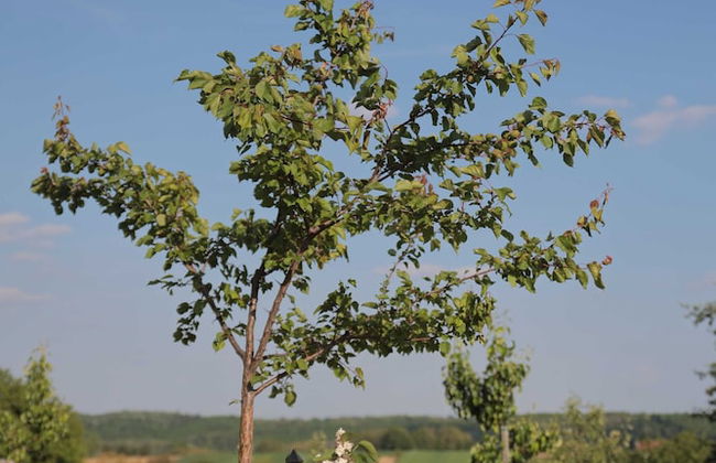 Apartment Amigo - Foto 35