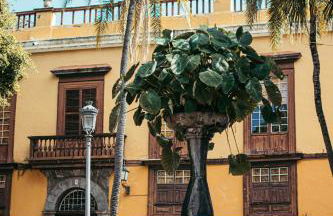 Suite 85, Villa Boutique privada con piscina - Foto 49