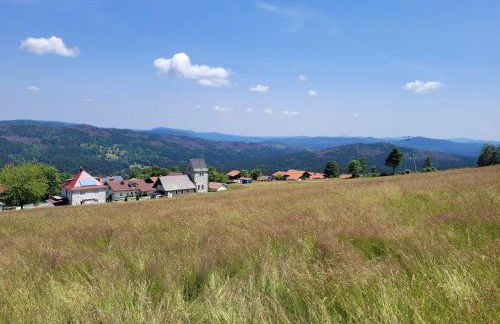 Mitterdorf - apartmán Almberg - Foto 23