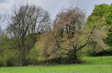 Zum Elleblick - Foto 37