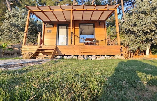 TİNY MİNİ HOUSE - Foto 21