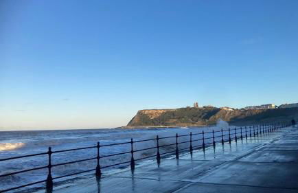 Shepherds hut, Eco, Log burner Hot tub NY moors - Foto 18