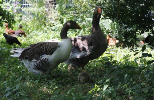 Döllelhof Erding - Foto 33