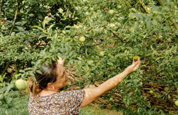 Casa das Nogueiras - Foto 70