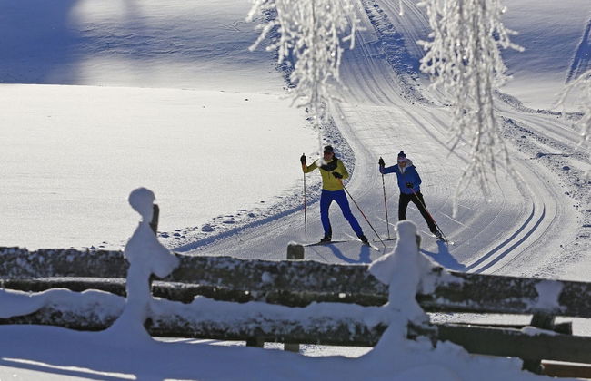 Apartment in Gosau With a Shared Sauna - Foto 29