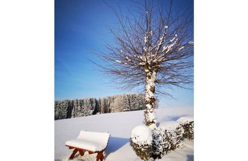 Schmahl Comfortable holiday residence - Foto 38