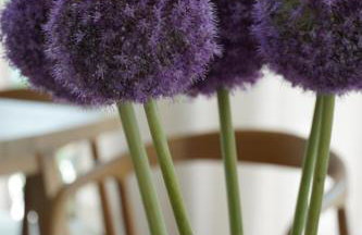 Dom w trawach - Foto 66