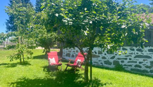 Landurlaub bei Familie Haug - Foto 4, Garden