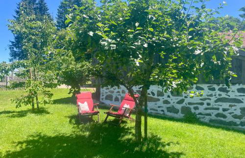 Landurlaub bei Familie Haug - Foto 4