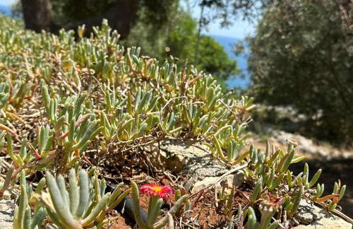 Villetta DaGré fronte mare - Foto 75