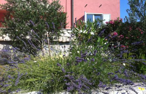 Villa Matovica - Photo 17