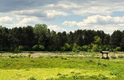 Domek pod Strzechą - Foto 17
