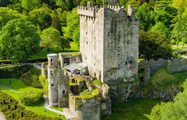 Visita guidata del castello di Blarney - Foto 4
