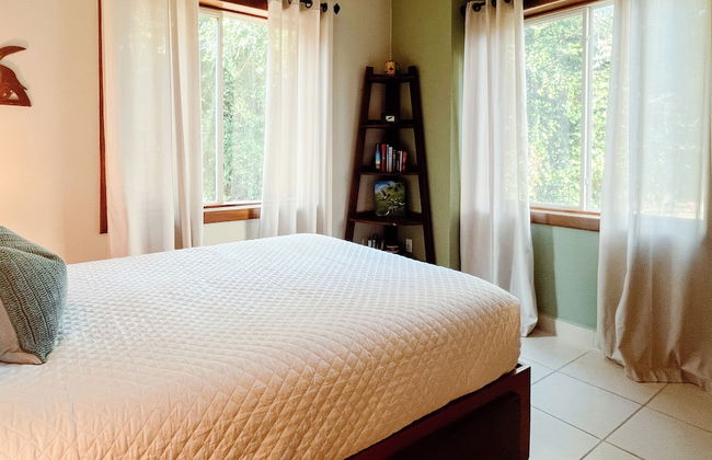 Marazul Belize - Foto 13