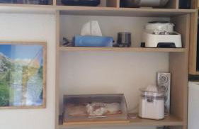 FORSYTHIA LE MAS DU PEYRON - Foto 11