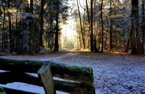 Ferieheisel - Everything, Except Usually! - Foto 81