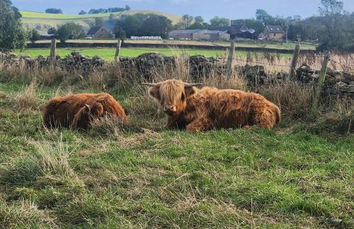 Peak Cottage - Cosy Family Retreat in Peak District - Foto 38